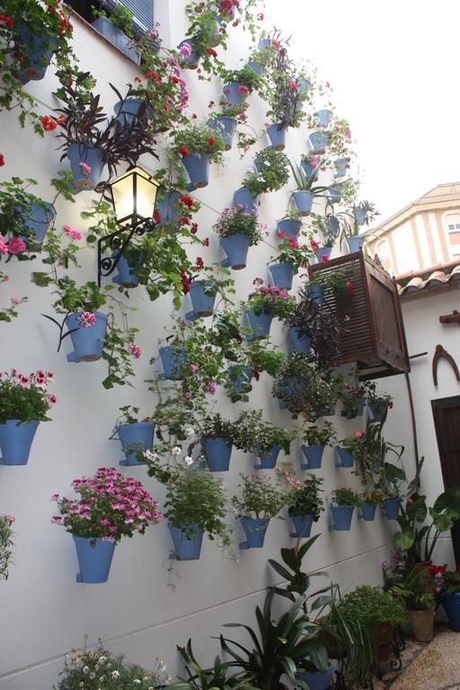 La Del Infante Hotel La Puebla de los Infantes